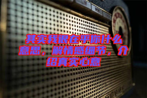 其實我很在乎你什么意思，解情感細節，介紹真實心意