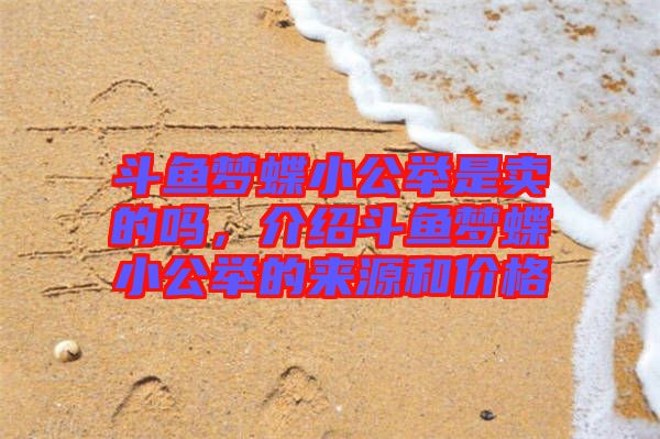 斗魚夢蝶小公舉是賣的嗎，介紹斗魚夢蝶小公舉的來源和價(jià)格