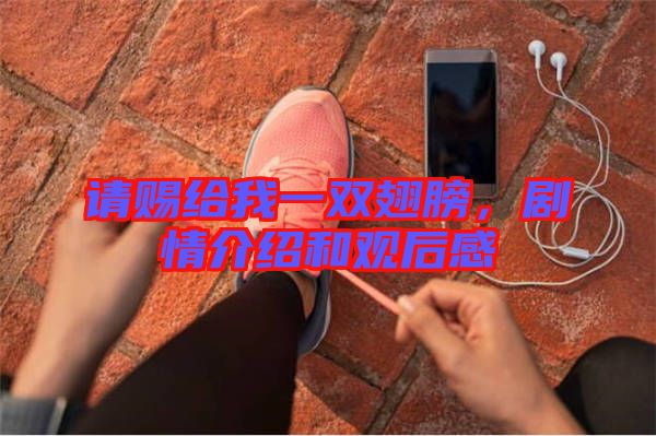 請賜給我一雙翅膀，劇情介紹和觀后感