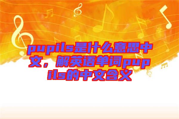 pupils是什么意思中文，解英語單詞pupils的中文含義