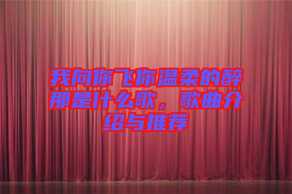 我向你飛你溫柔的醉那是什么歌，歌曲介紹與推薦