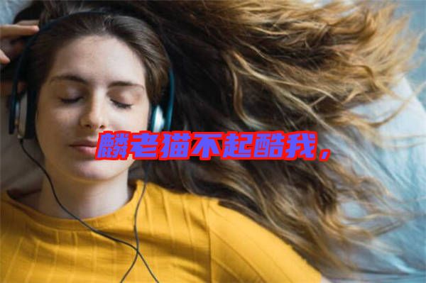 麟老貓不起酷我，