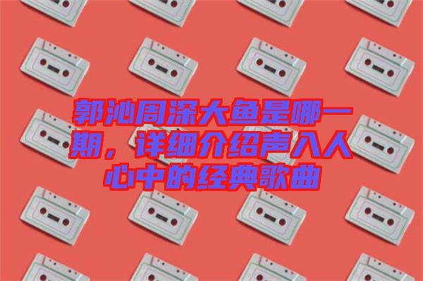 郭沁周深大魚是哪一期，詳細介紹聲入人心中的經典歌曲