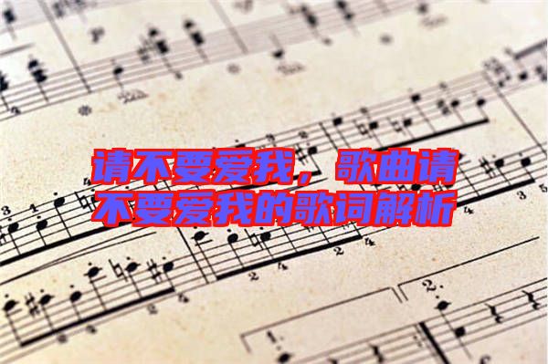 請不要愛我，歌曲請不要愛我的歌詞解析