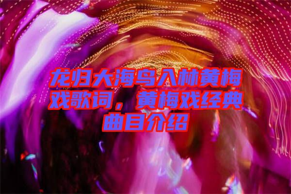 龍歸大海鳥入林黃梅戲歌詞，黃梅戲經典曲目介紹