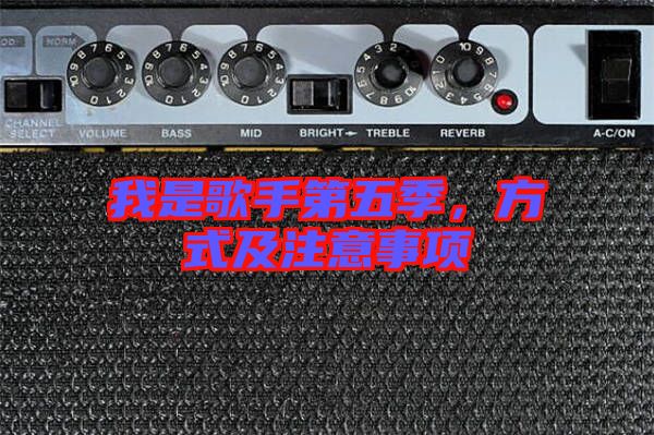 我是歌手第五季，方式及注意事項