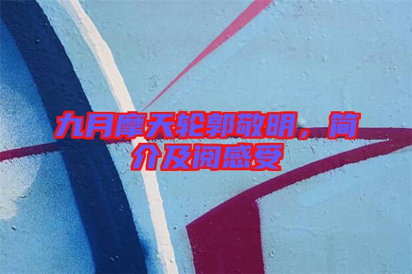 九月摩天輪郭敬明，簡介及閱感受