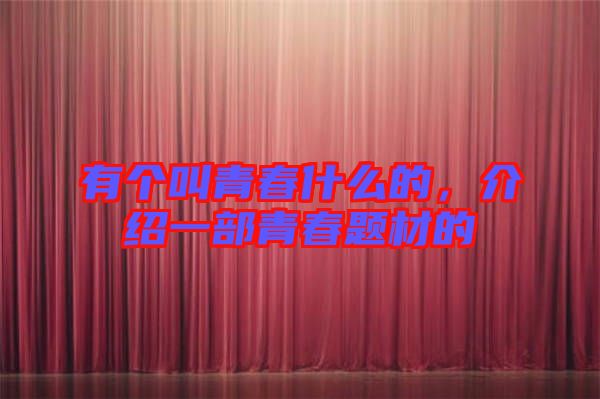 有個叫青春什么的，介紹一部青春題材的