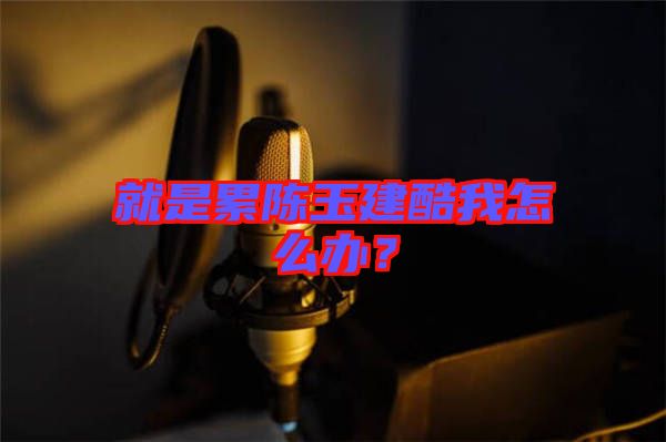 就是累陳玉建酷我怎么辦？