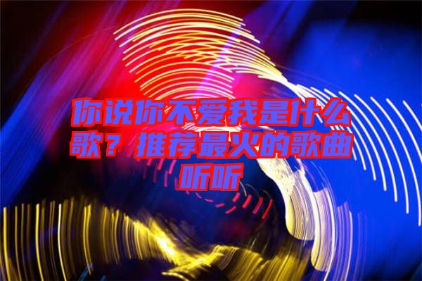你說你不愛我是什么歌？推薦最火的歌曲聽聽