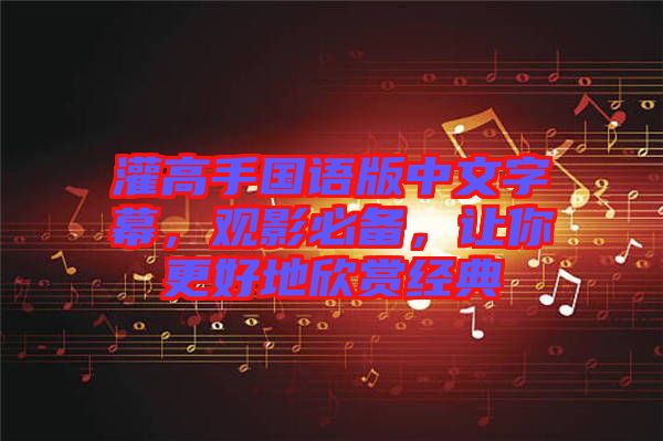 灌高手國語版中文字幕，觀影必備，讓你更好地欣賞經典