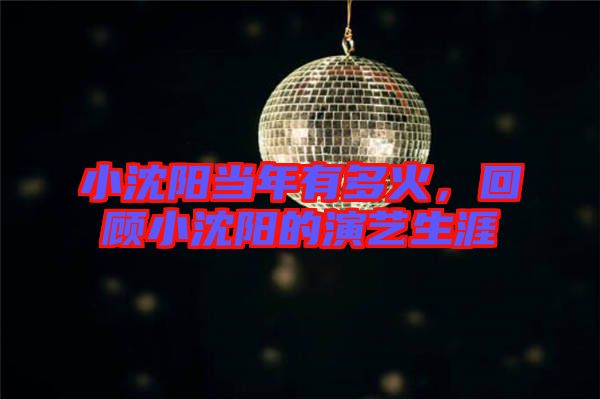小沈陽當年有多火，回顧小沈陽的演藝生涯