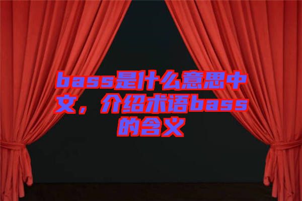 bass是什么意思中文，介紹術語bass的含義