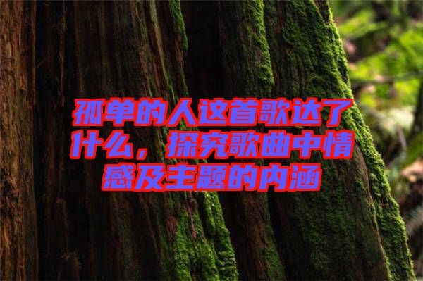 孤單的人這首歌達了什么，探究歌曲中情感及主題的內(nèi)涵