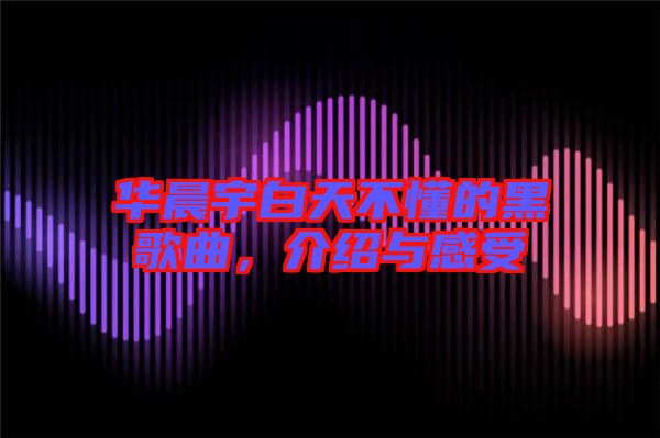 華晨宇白天不懂的黑歌曲，介紹與感受