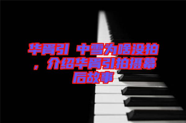 華胥引柸中雪為啥沒拍，介紹華胥引拍攝幕后故事