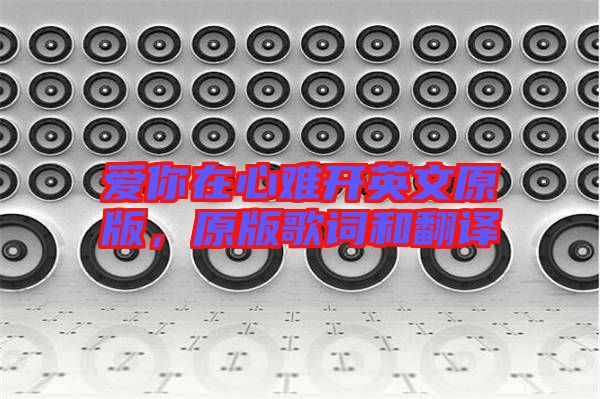 愛你在心難開英文原版，原版歌詞和翻譯