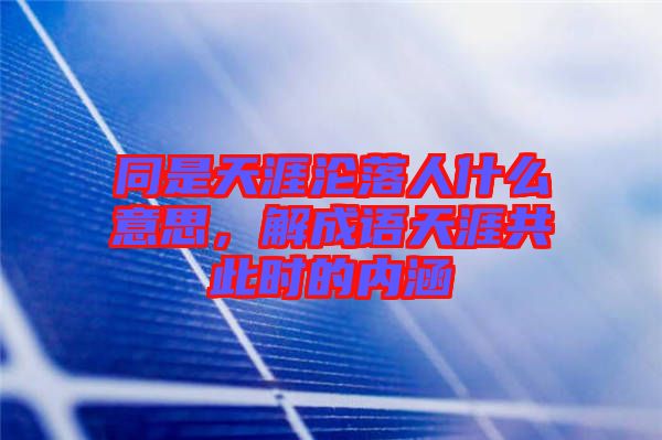 同是天涯淪落人什么意思，解成語(yǔ)天涯共此時(shí)的內(nèi)涵