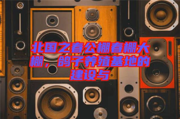 北國之春公棚春棚大棚，鴿子養殖基地的建設與
