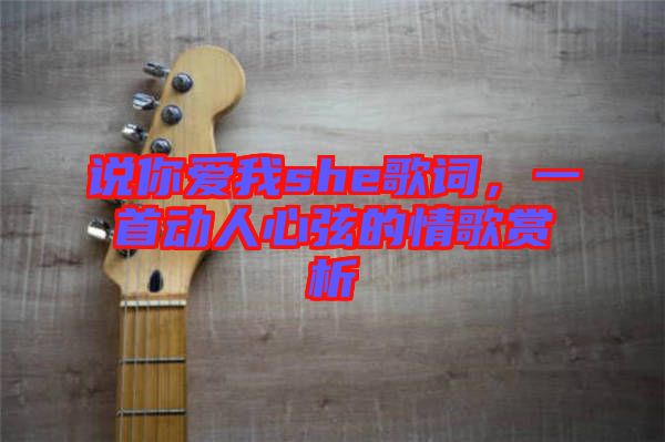 說(shuō)你愛(ài)我she歌詞，一首動(dòng)人心弦的情歌賞析