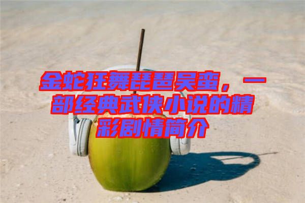 金蛇狂舞琵琶吳蠻，一部經(jīng)典武俠小說的精彩劇情簡介