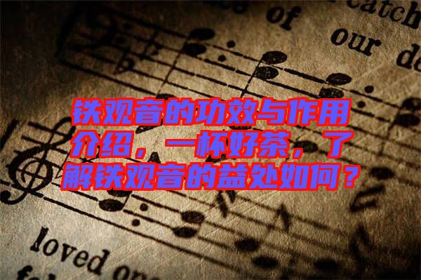 鐵觀音的功效與作用介紹，一杯好茶，了解鐵觀音的益處如何？