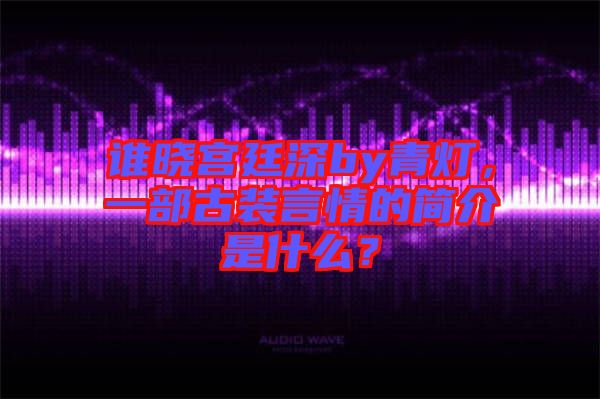 誰曉宮廷深by青燈，一部古裝言情的簡介是什么？