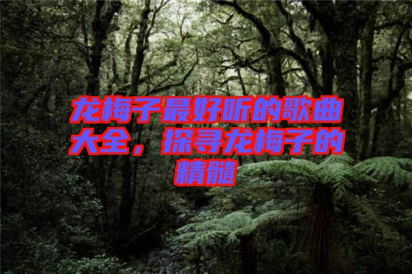 龍梅子最好聽的歌曲大全，探尋龍梅子的精髓