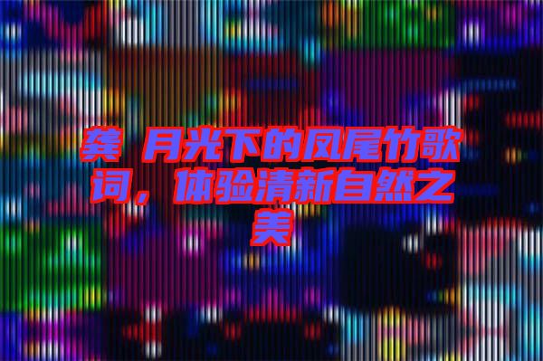 龔玥月光下的鳳尾竹歌詞，體驗清新自然之美
