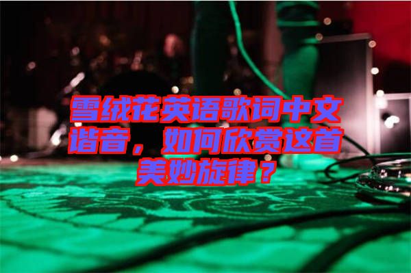 雪絨花英語歌詞中文諧音，如何欣賞這首美妙旋律？