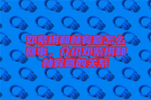 鄧紫棋和林宥嘉怎么回事，介紹鄧紫棋和林宥嘉的關系