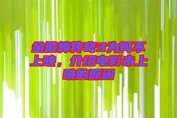 金箍棒傳奇3為何不上映，介紹電影未上映的原因